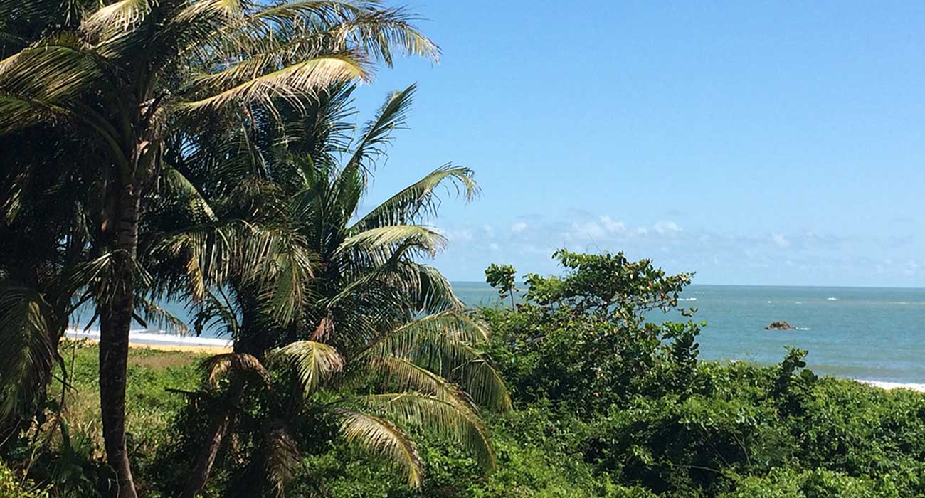 Investissement locatif en Guyane : la bonne solution pour votre patrimoine